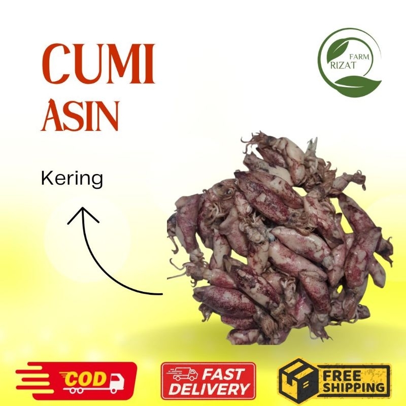 

[Dikirim Instant] Cumi Asin Sontong Kering