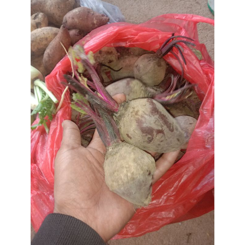 

BETROOT MERAH 1kg