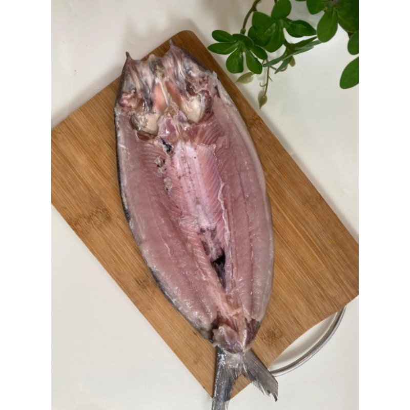

IKAN PURE ORGANIC (BANDENG, UDANG)