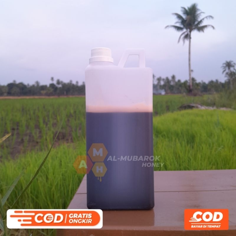 

MADU HUTAN MURNI ASLI 100% | SANADNYA JELAS | 1kg