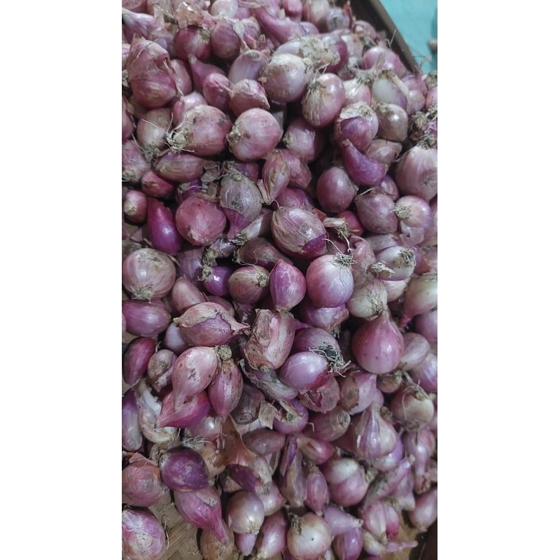 

bawang merah nganjuk kering 1kg