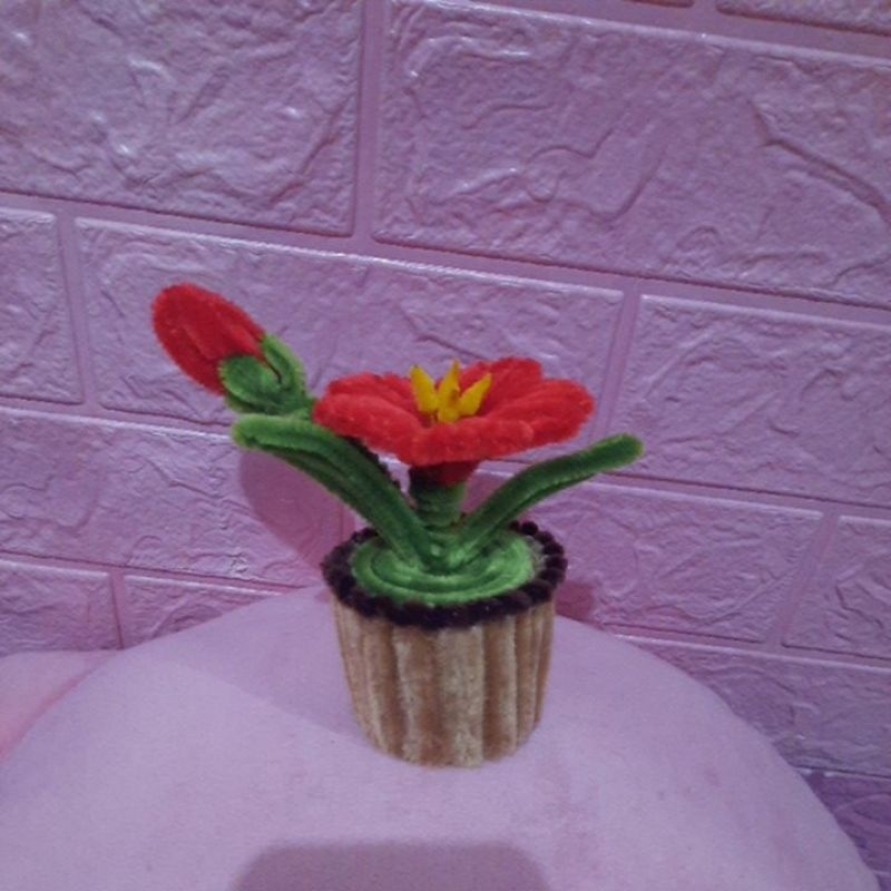 Bunga Pot Kecil Hiasan Bunga Bunga Sepatu