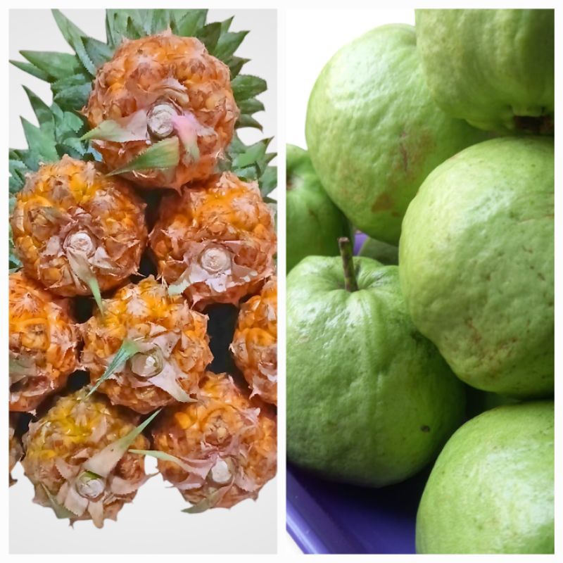 

Paket Nanas Madu imut 4 buah & Jambu Kristal 4 buah