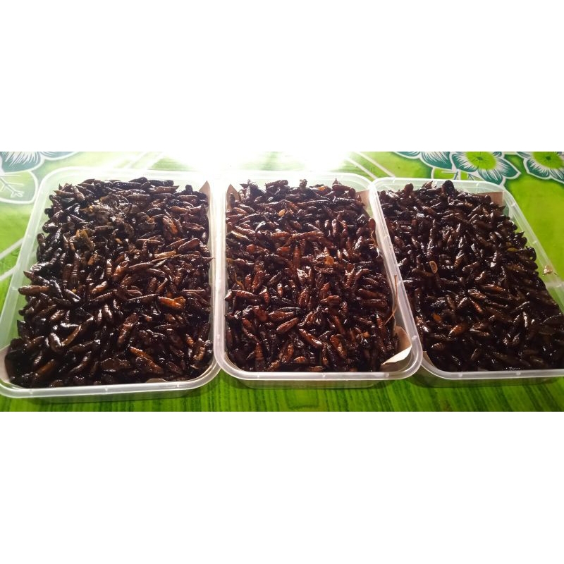 

enthung jati gurih kemasan thinwall 500ml