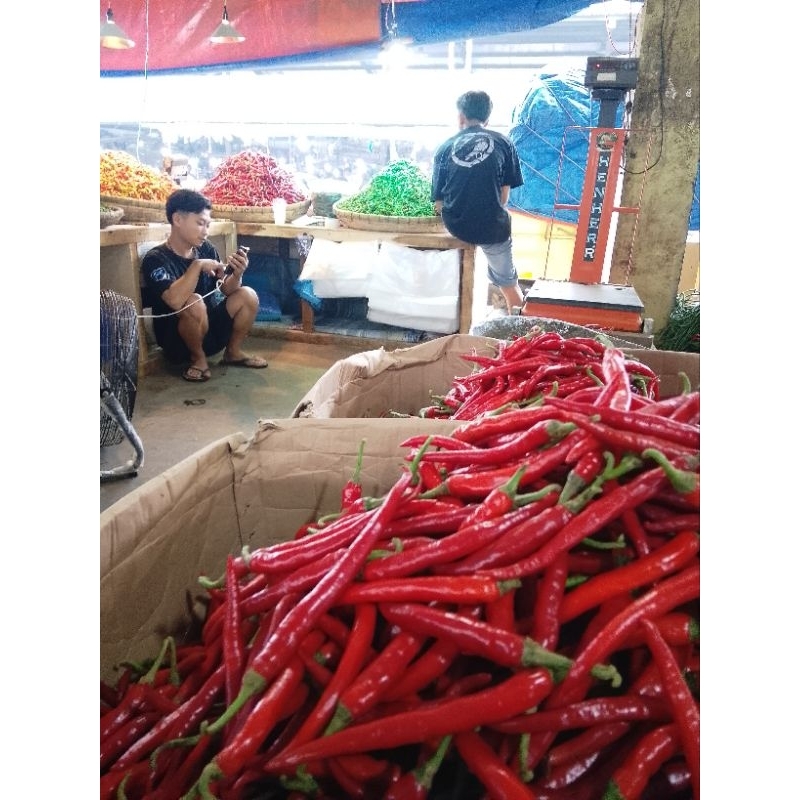 

cabe merah