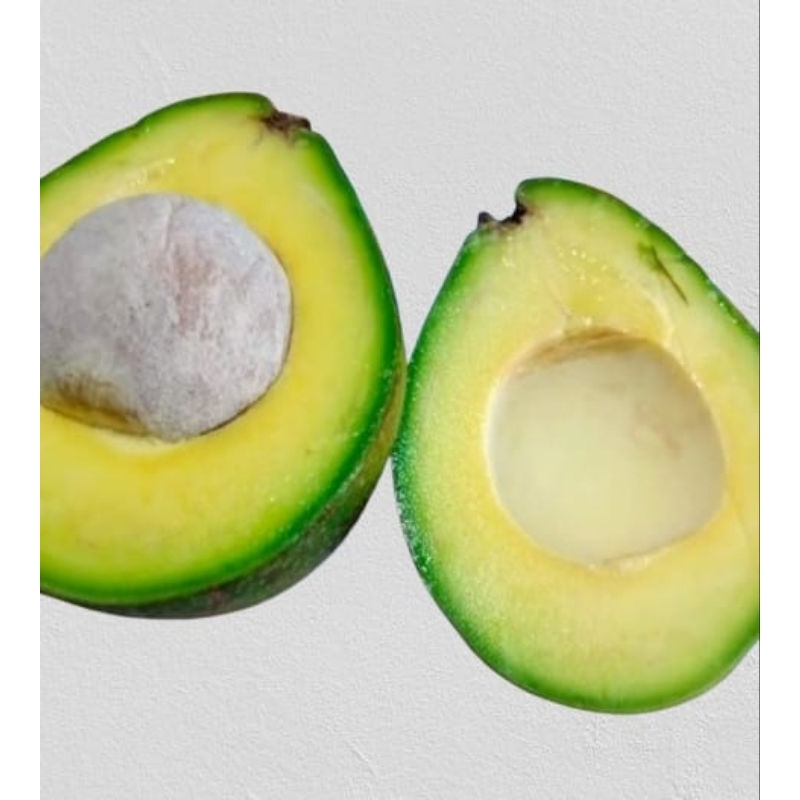 

Alpukat Mentega 1kg Isi 3/4 dan 5/6