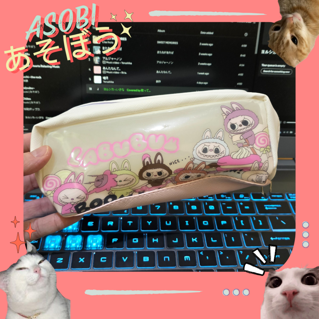 

ASOBI TEMPAT PENSIL LUCU CIIKAWA DAN LABUBU MURAH