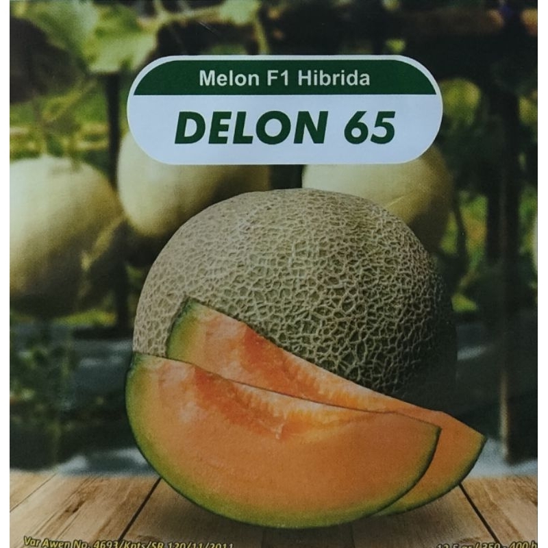 RB Benih Melon F1 Hibrida DELON 65
