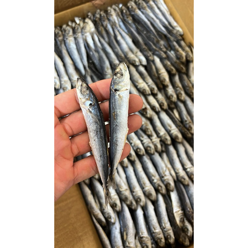 

IKAN REBUS OGAK PENA SUPER 1kg