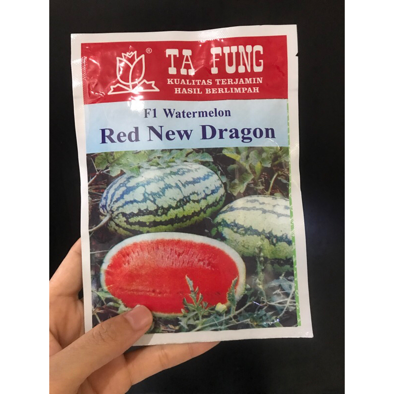 Benih semangka RED NEW DRAGON F1 20 gram benih semangka lonjong semangka hibrida dari tafung ta fung