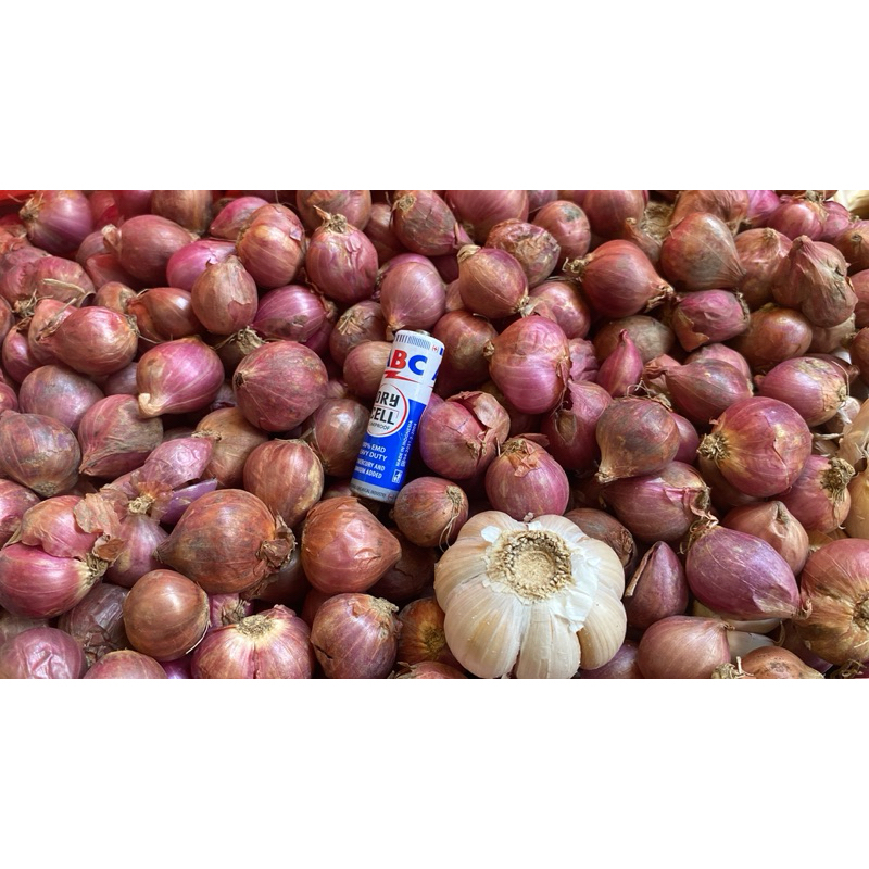 

Bawang Merah Probolinggo ukuran sedang-besar