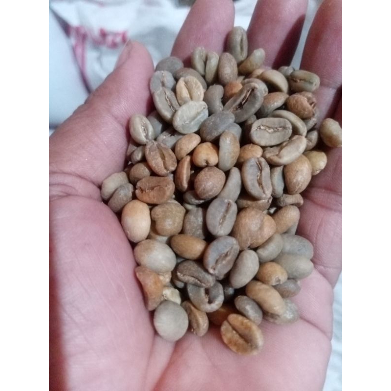 

arabica fermentasi