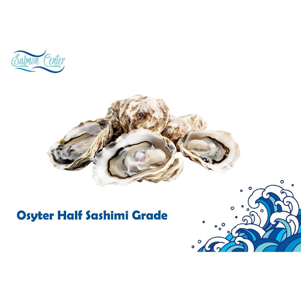 

RB Oyster Half Shell Sashimi Grade Segar Berkualitas Tinggi