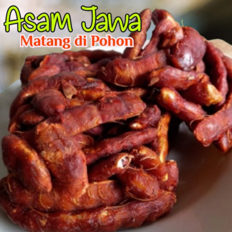 

Asam Jawa Kesugihan Cilacap Matang di Pohon
