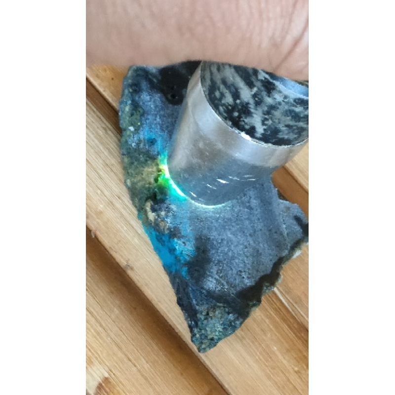 bacan doko majiko hitam kenari campur coklat biru