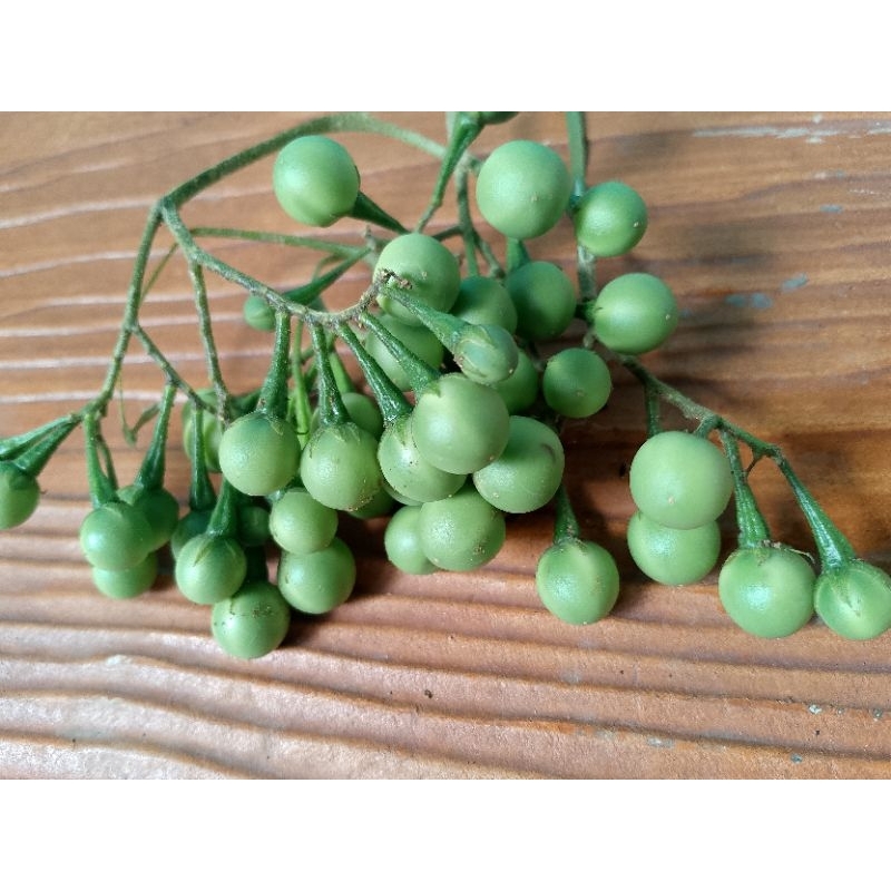 

takokak tekokak turky berry 500grm