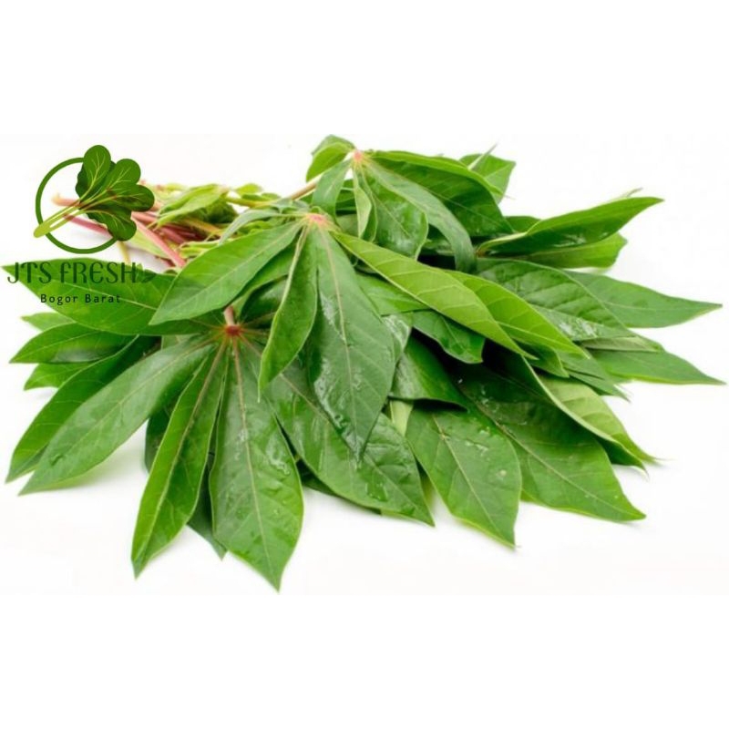 

Daun singkong Fresh segar Satu iket