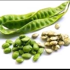 

Petai kupas 1kg