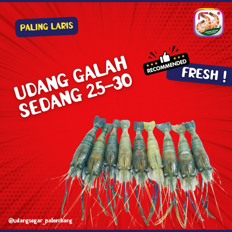 

udang galah isi 25-30