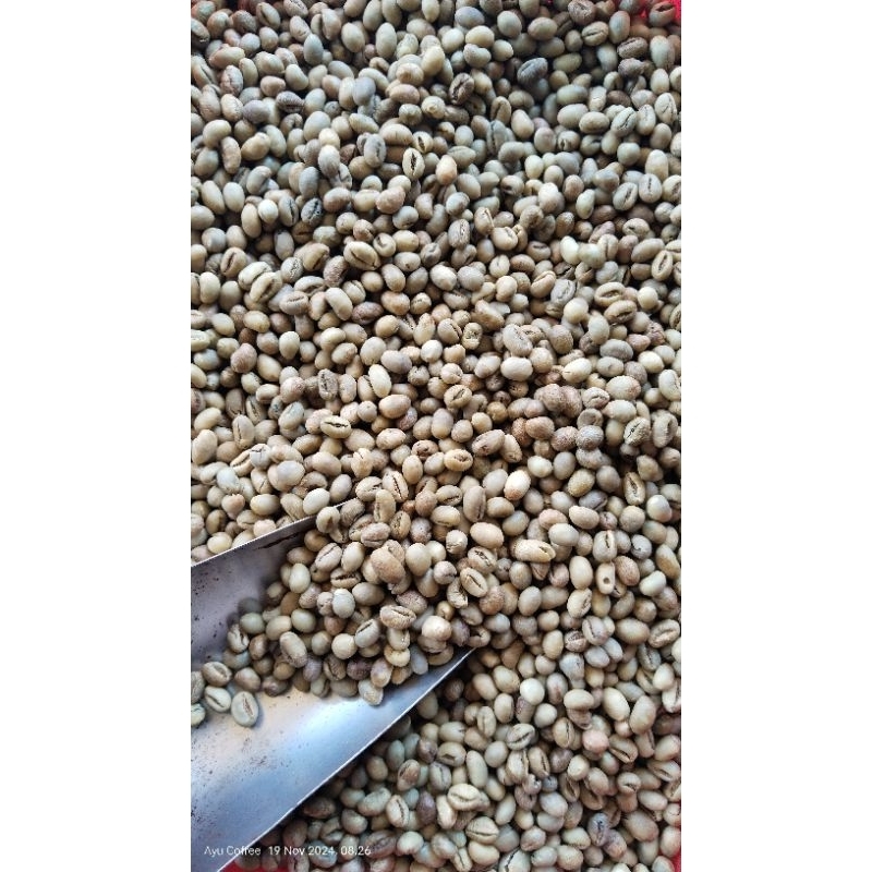 

GB ROBUSTA LANANG(PEABERY) 1 KG