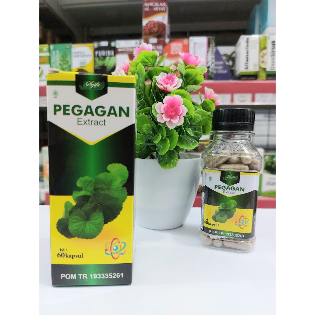 Kapsul pegagan Syifa herbal