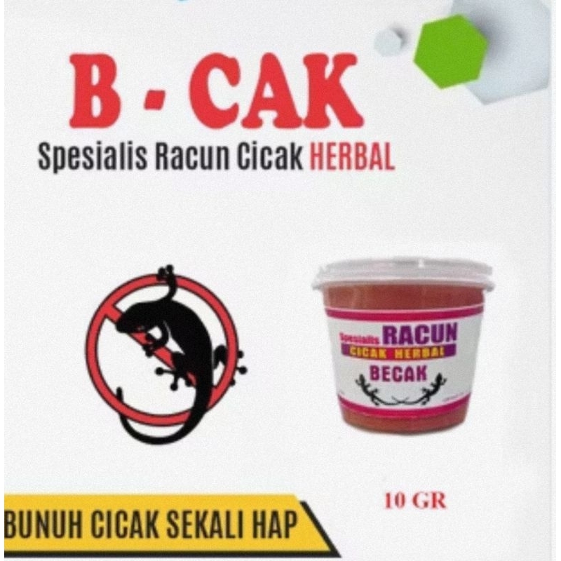 B-Cak racun cicak pembasmi cicak obat cicak racun cicak herbal racun cicak herbal original pembasmi