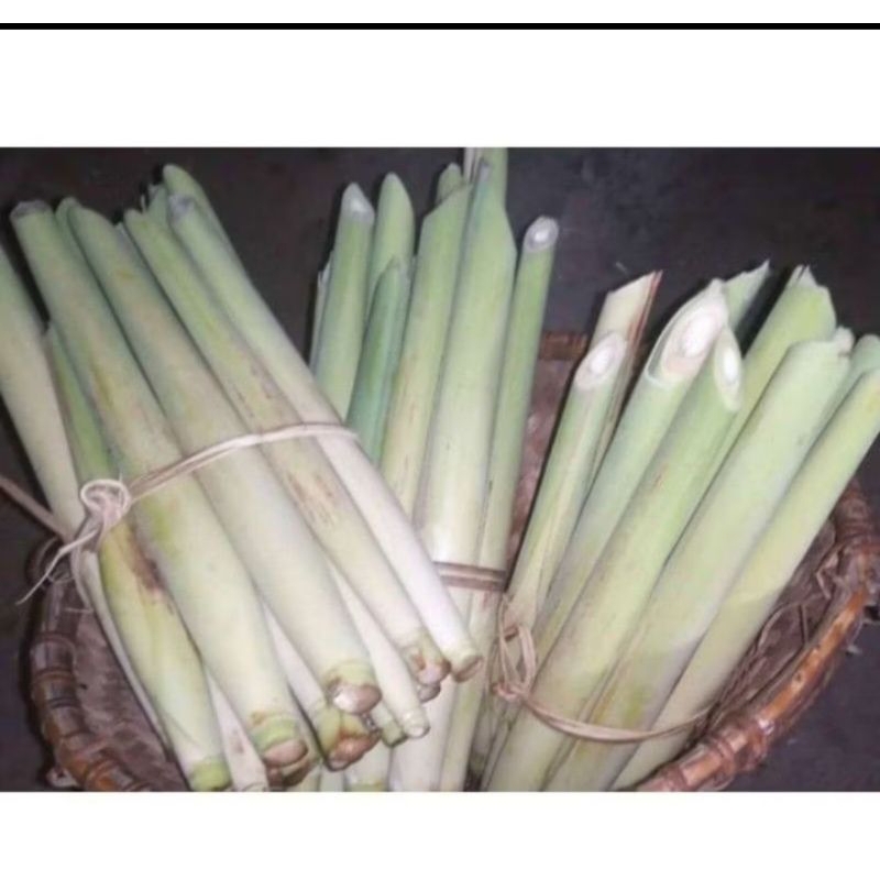 

sayur terubuk/tebu telur 10 biji