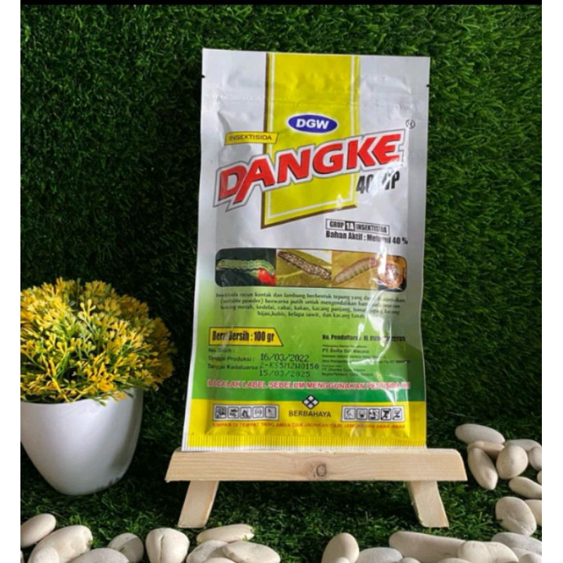 Dangke 100gram