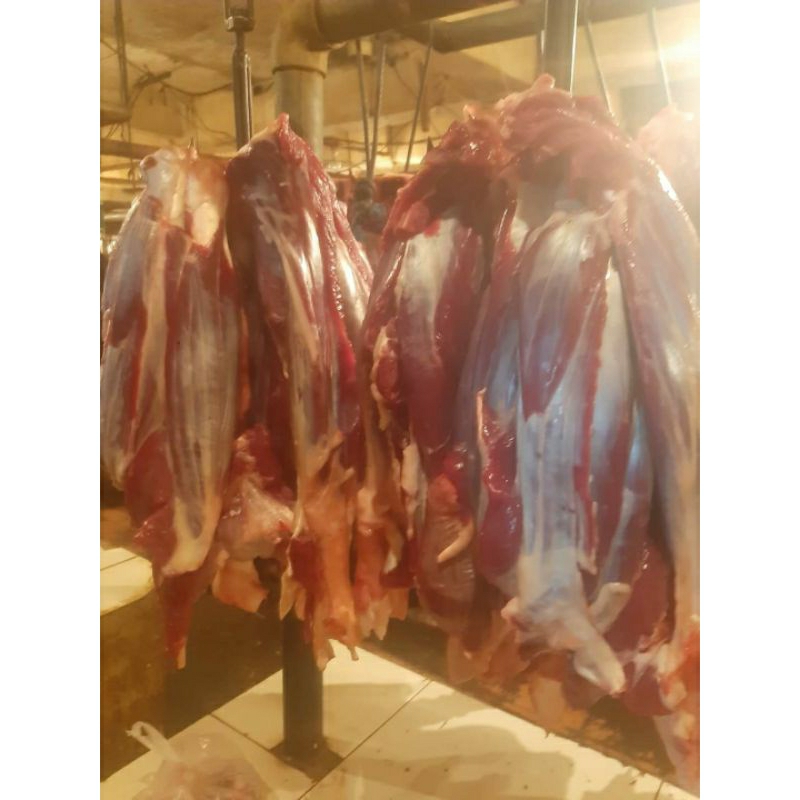 

Daging sengkel sapi lokal fresh