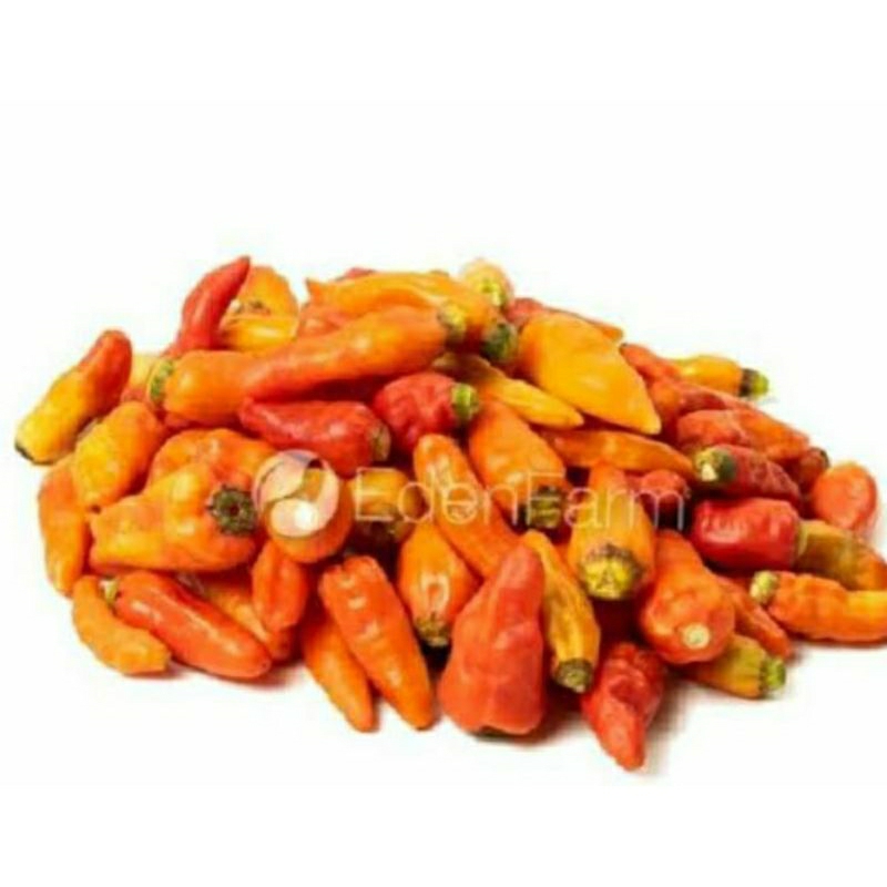 

cabe/rawit/merah/sudahdipetikin