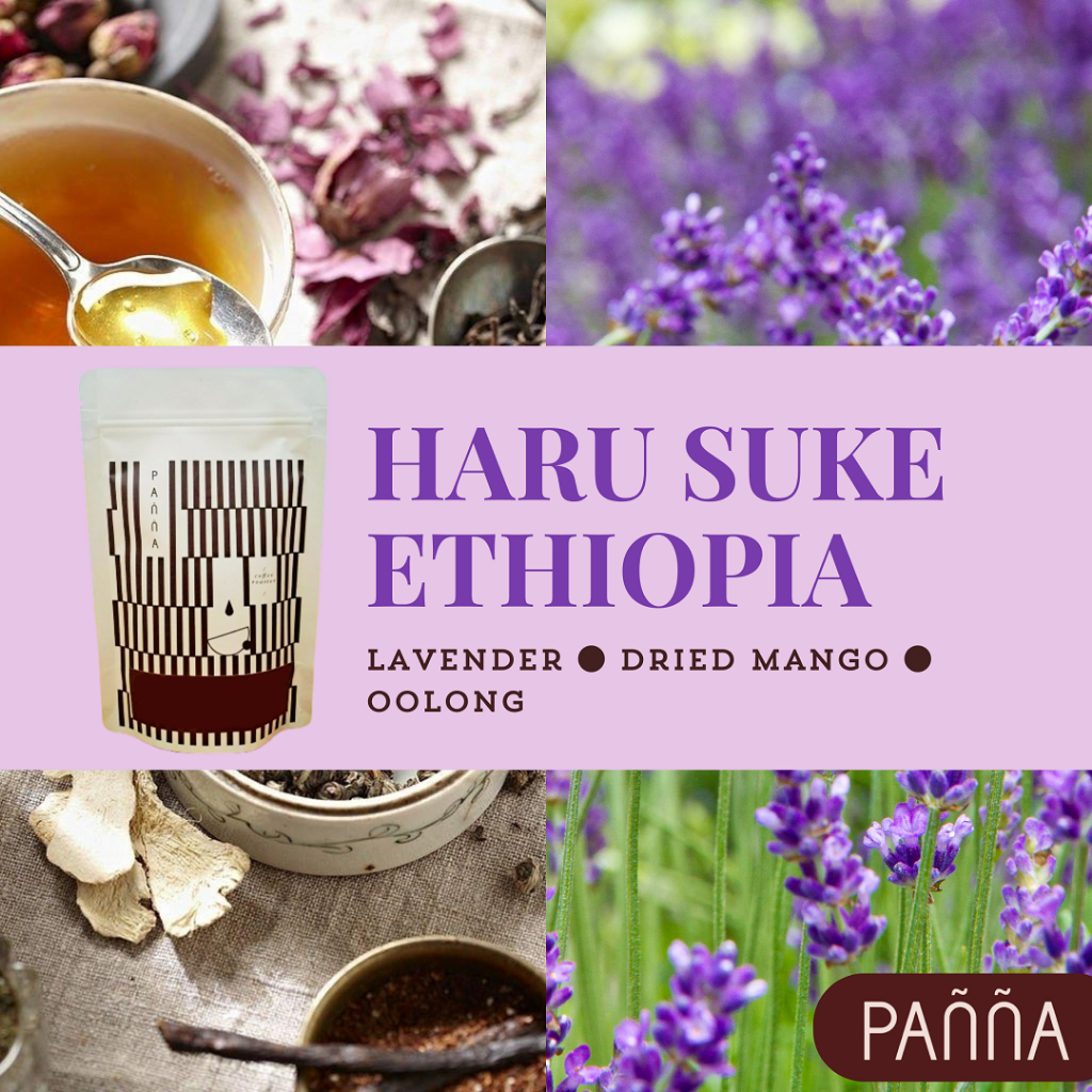 

Kopi Haru Suke Ethiopia Winner Taste Of Harvest specialty arabika