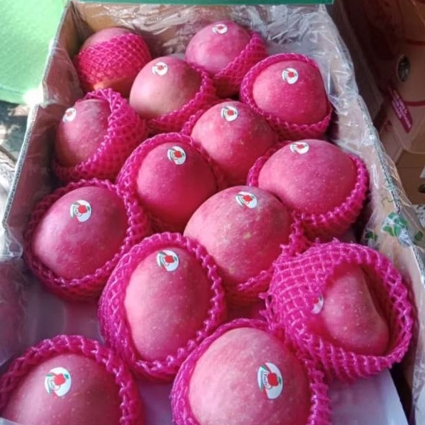 

BUAH APEL FUJI PREMIUM 1 DUS