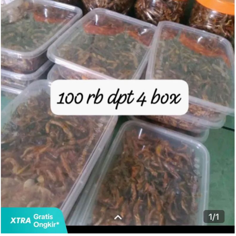 

belalang kecil utis 100rbdpt 4box
