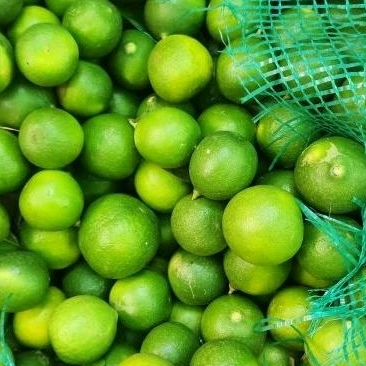 

Jeruk nipis 500 gram