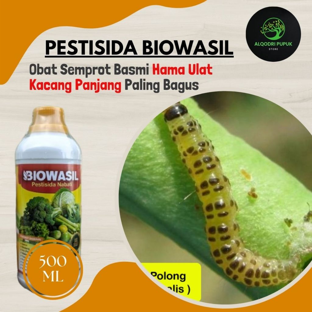 Pupuk Pestisida Atasi Hama Ulat Kacang Panjang - BIOWASIL - Obat semprot Basmi Hama Ulat Kacang Panj