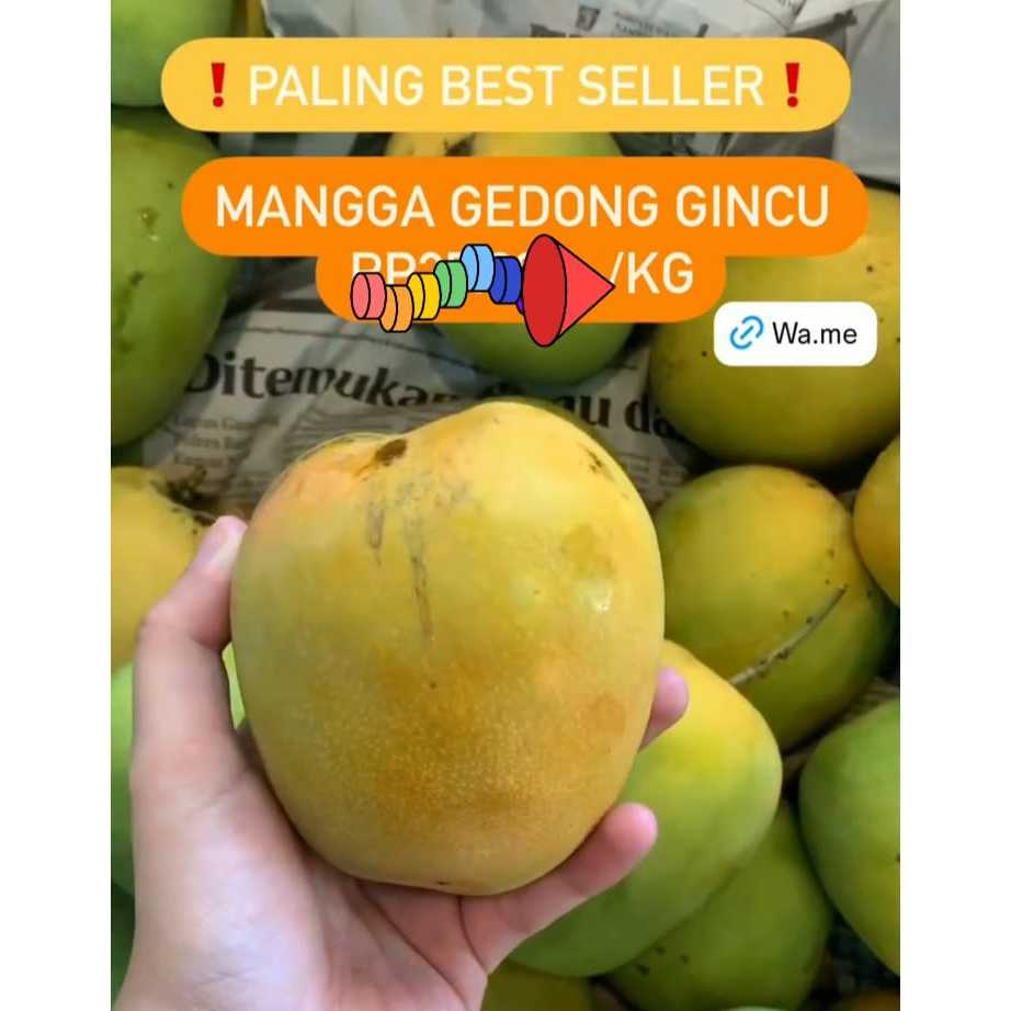 

Buah Mangga Gedong Gincu 1kg, Ready Stock Delivery Jogja