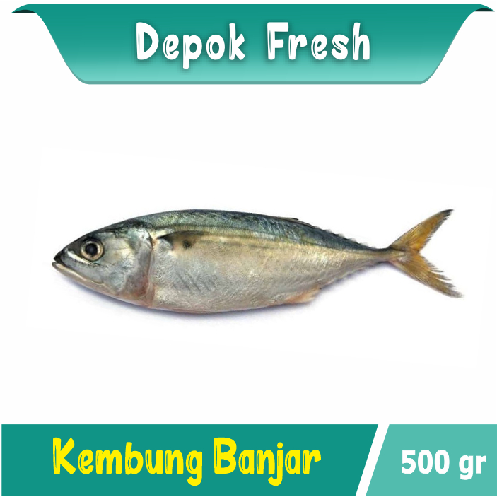 

IKAN KEMBUNG BANJAR SUPER SEGAR SEAFOOD BERKUALITAS