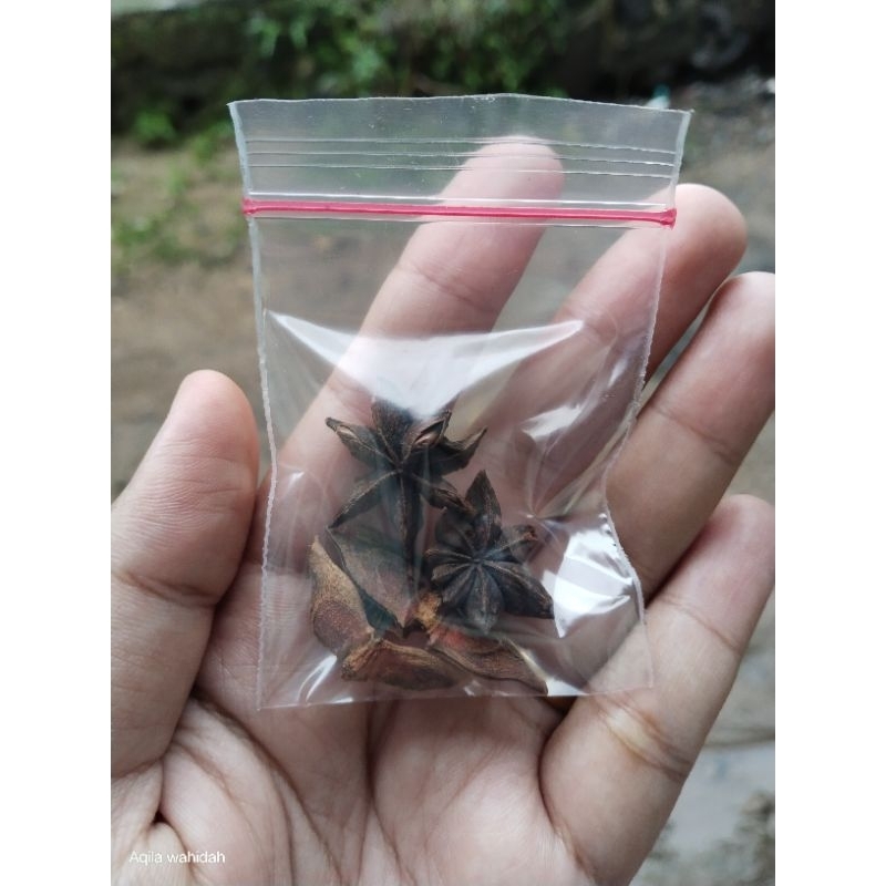 

Rempah bunga sisir/bunga Lawang/pekak mini pack