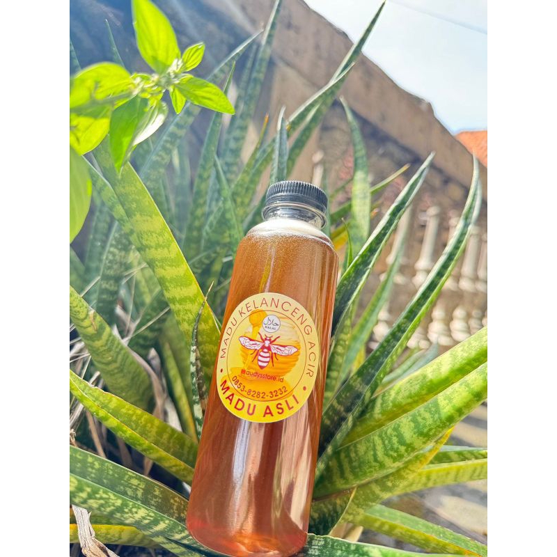 MaduKlancengMurniAsli100%