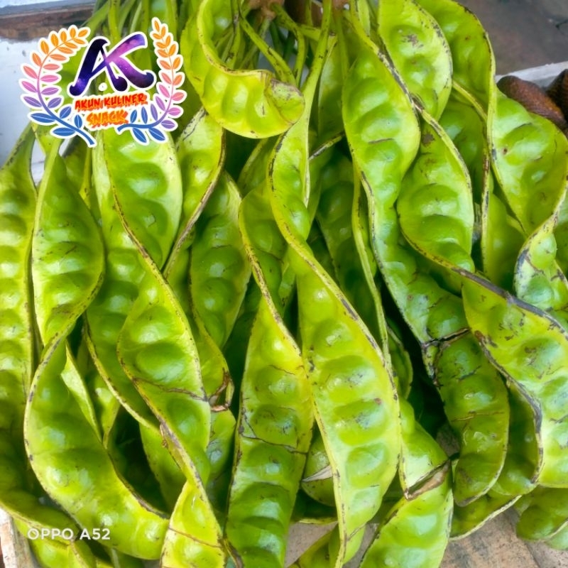 

Obral Pete Jawa 10 lonjor