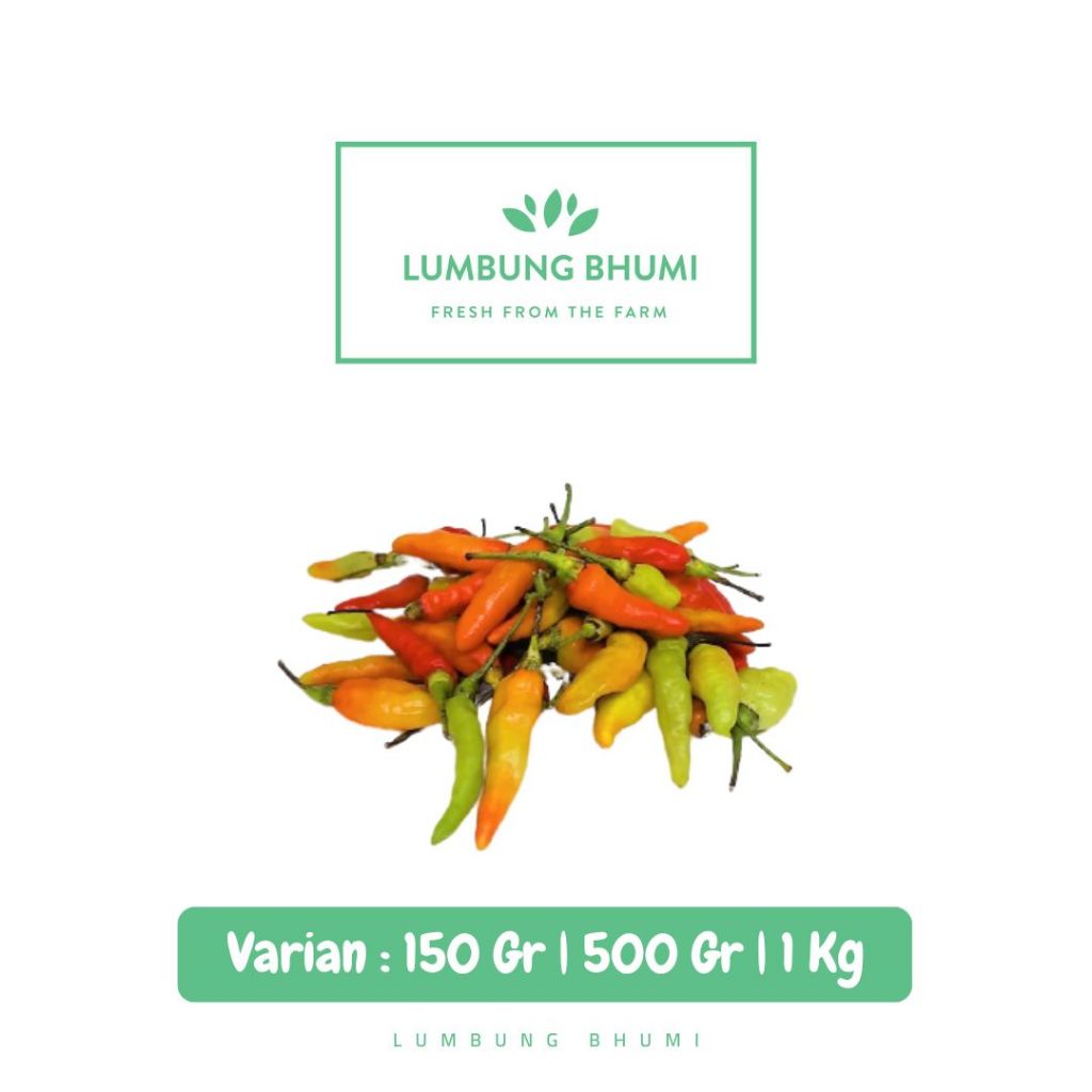 

Cabe Rawit Merah CAMPUR Sayur - Lumbung Bhumi