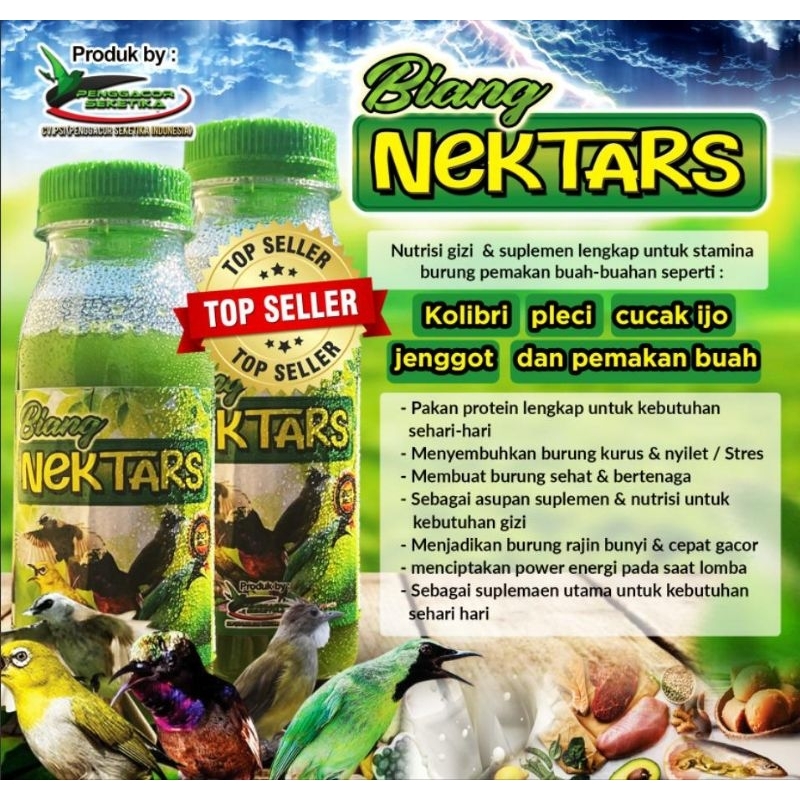Biang nektar hijau kolibri sogon pleci lomba juara 140 ml