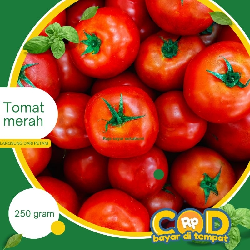

Tomat merah 250 gram