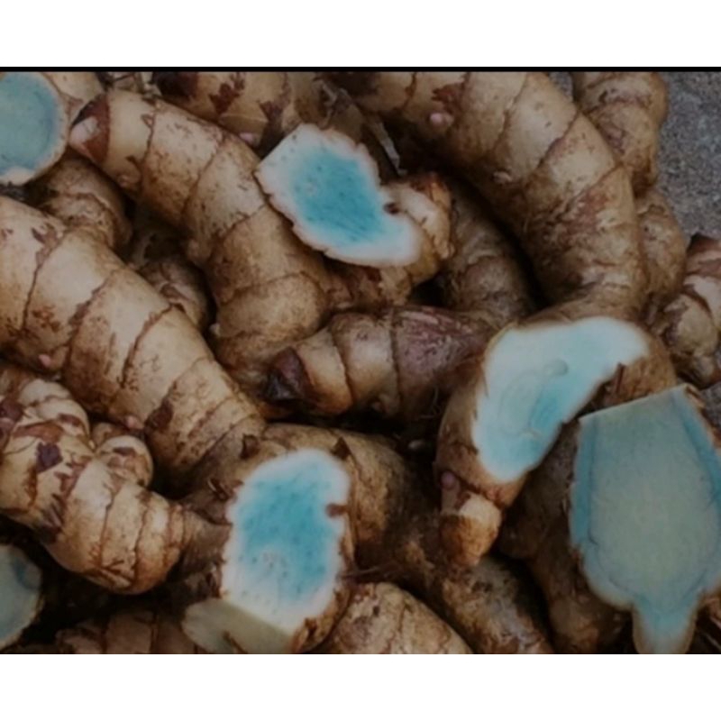 

temu ireng segar 500g