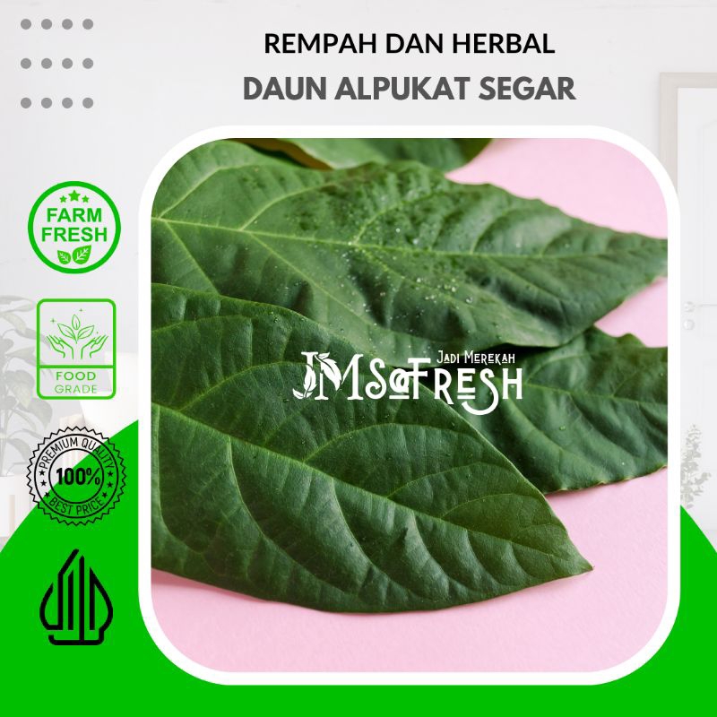 

[JM_SoFresh] Daun Alpukat Segar dan Fresh 10 Lembar - ( Mengobati Jerawat, Batu Ginjal, Hypertensi )