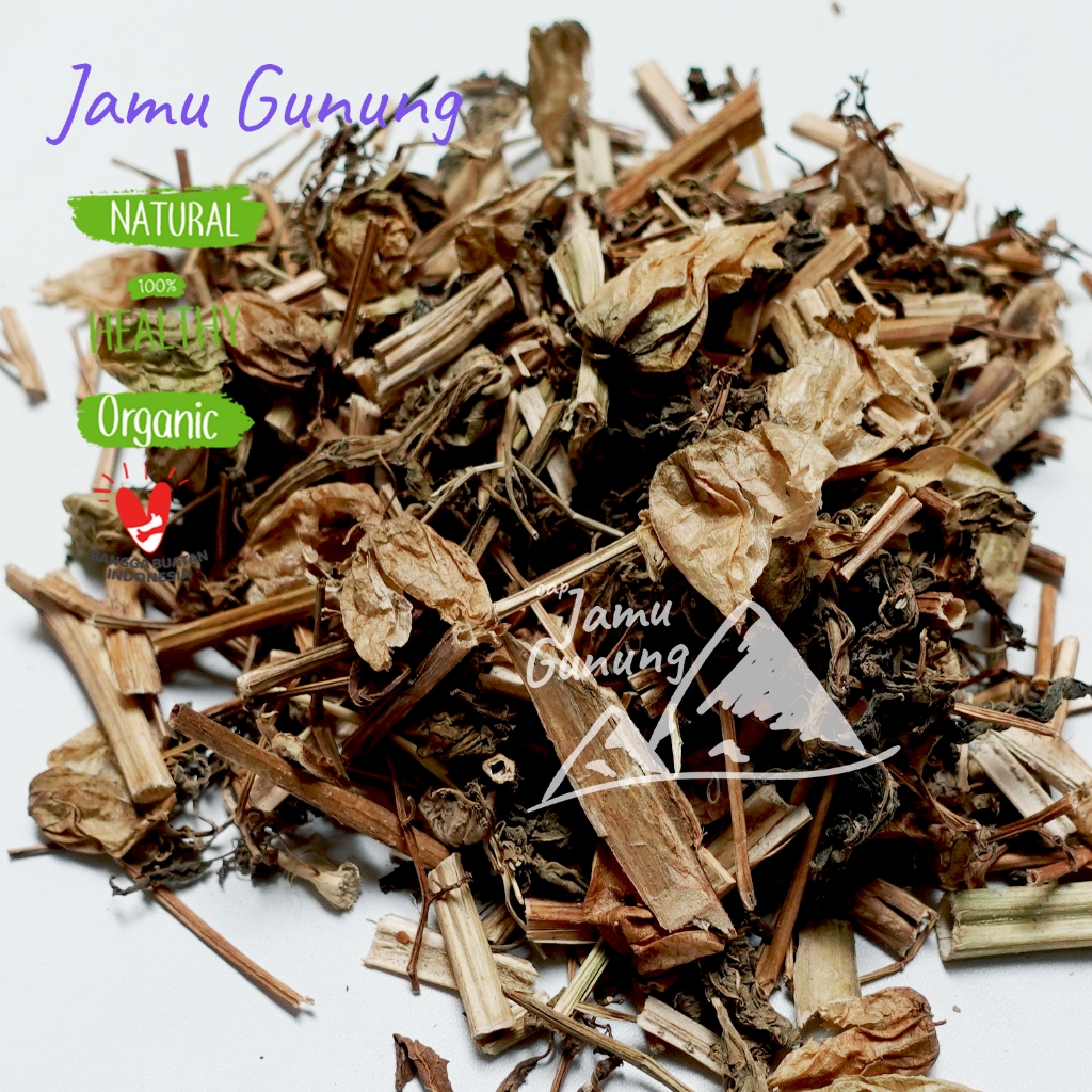 

Daun Ciplukan Kering 1kg Cecendet Asli