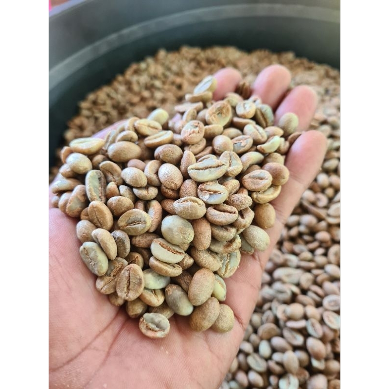 

KOPI ROBUSTA GREEN BEAN GRADE A