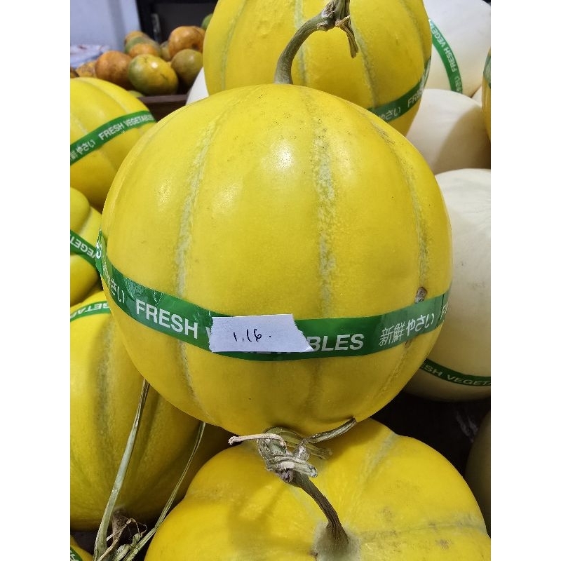

melon devina