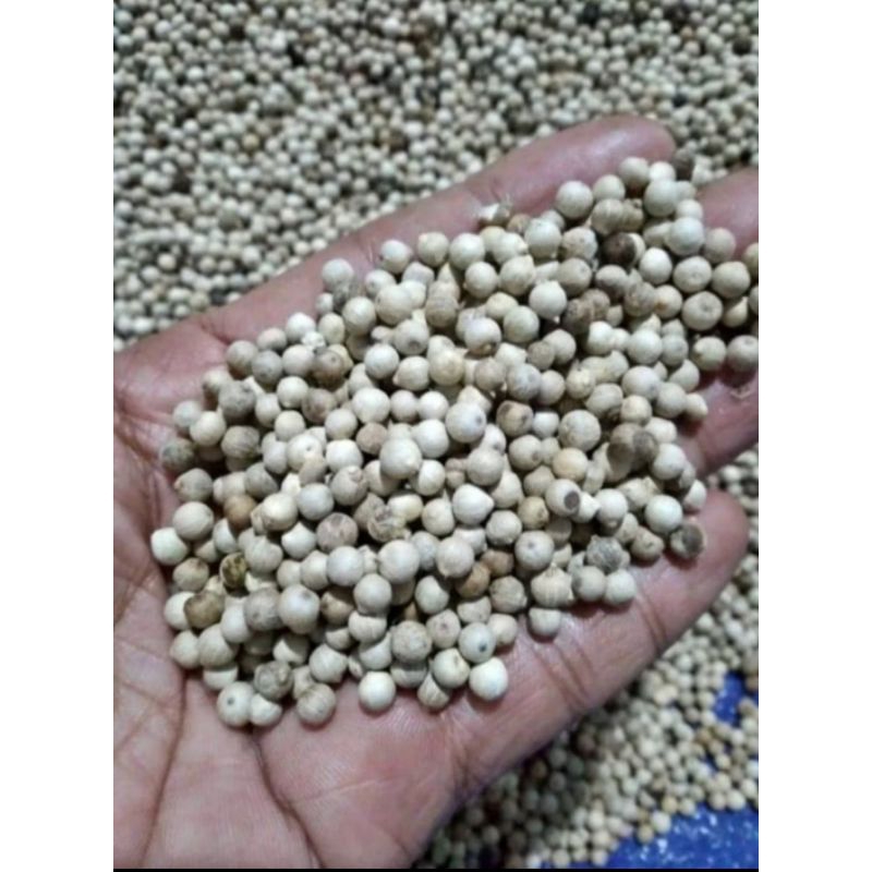 

Merica / Lada Putih Asli Purbalingga 250g / 500g / 1kg