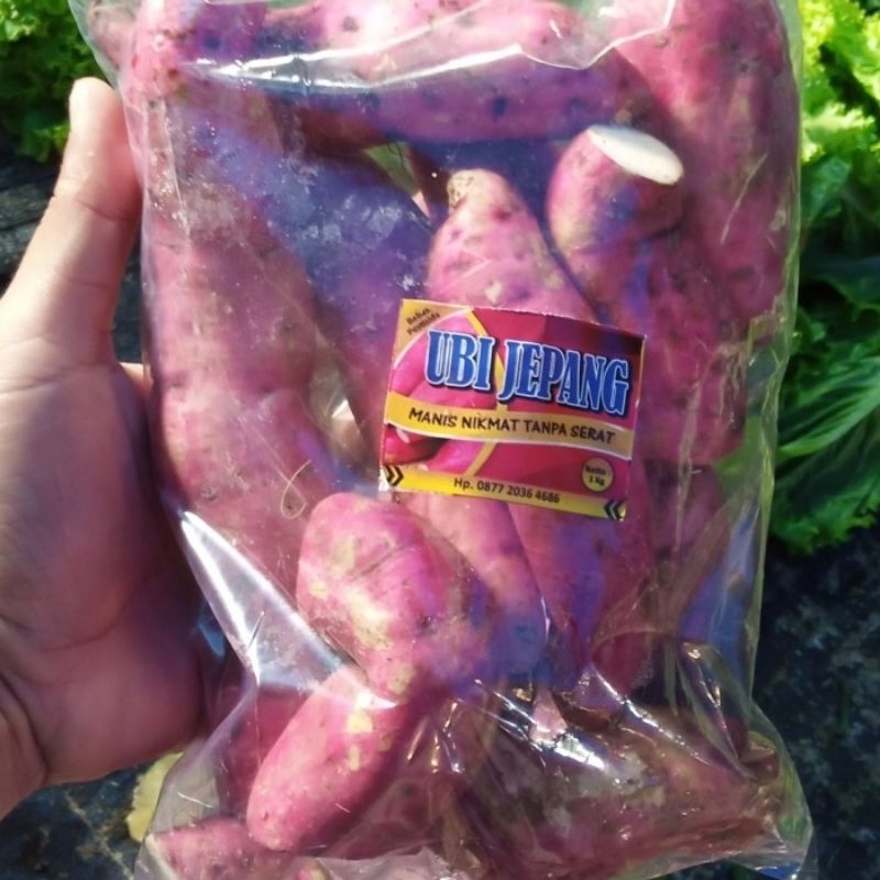 

ubi jepang per pack